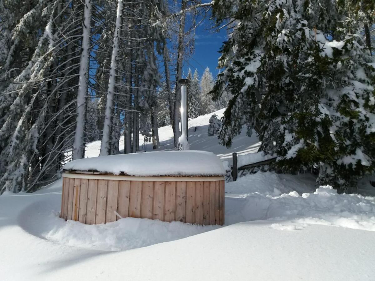 Chalet Petit Kanzelhohe Eksteriør bilde